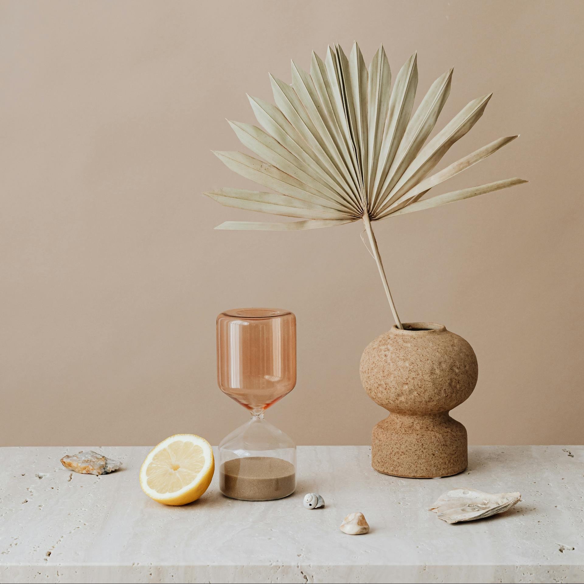Minimalistisches Stillleben mit Glas, getrocknetem Palmblatt und Zitronenscheibe auf hellem Tisch vor beigem Hintergrund.
